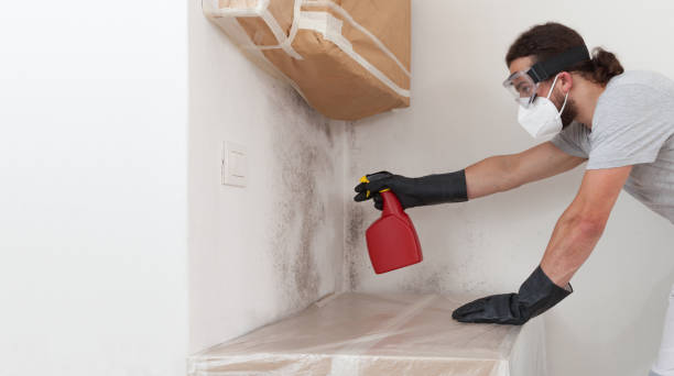 Professional Attic Mold Remediation technician working in Millington, NJ